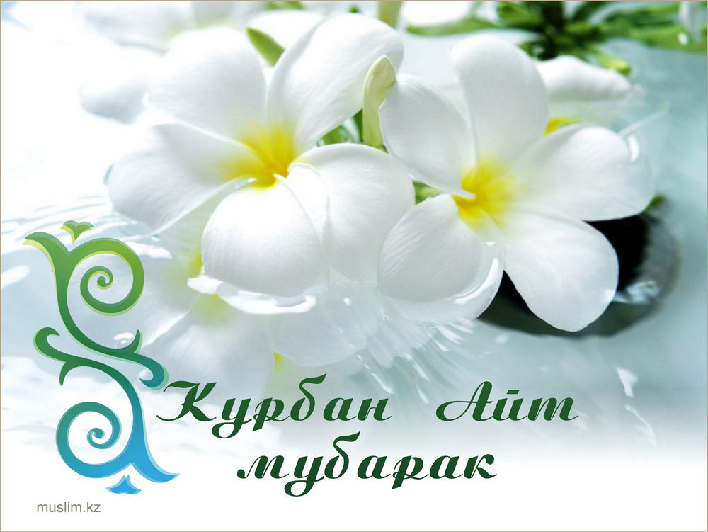 Открытка открытки на курбан айт  - Открытка Курбан-Айт: Нежные белые цветы | Красивая открытка #6