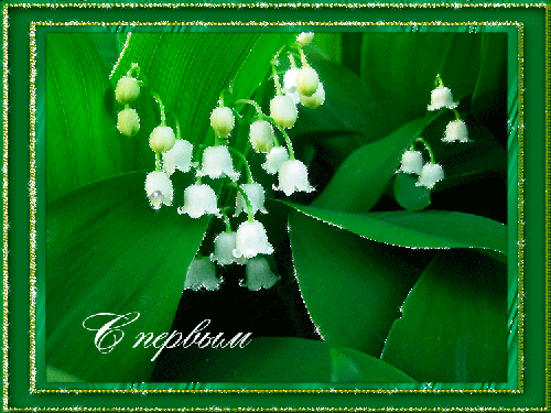 Открытка Первый день весны - Открытка с ландышем: нежные цветы и зелень | Красивая открытка #91