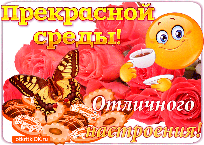 Открытка Открытки на среду - Открытка с розовыми цветами, бабочкой и чашкой | Красивая открытка #5