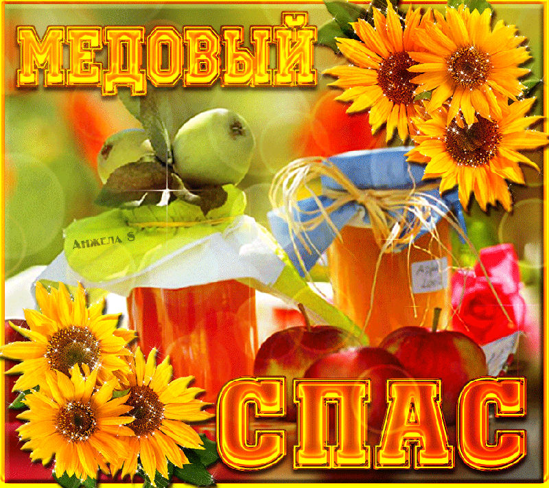 Открытка Медовый спас - Подсолнухи и яблоки: праздничная открытка | Красивая открытка #65