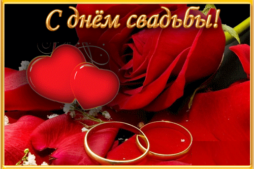 Открытка Открытки с днем свадьбы - Обручальные кольца и лепестки роз | Красивая открытка #55