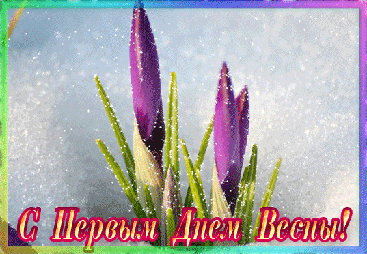 Открытка С крокусами - С Днем Весны: Фиалки на фоне снега  Открытка | Красивая открытка #26