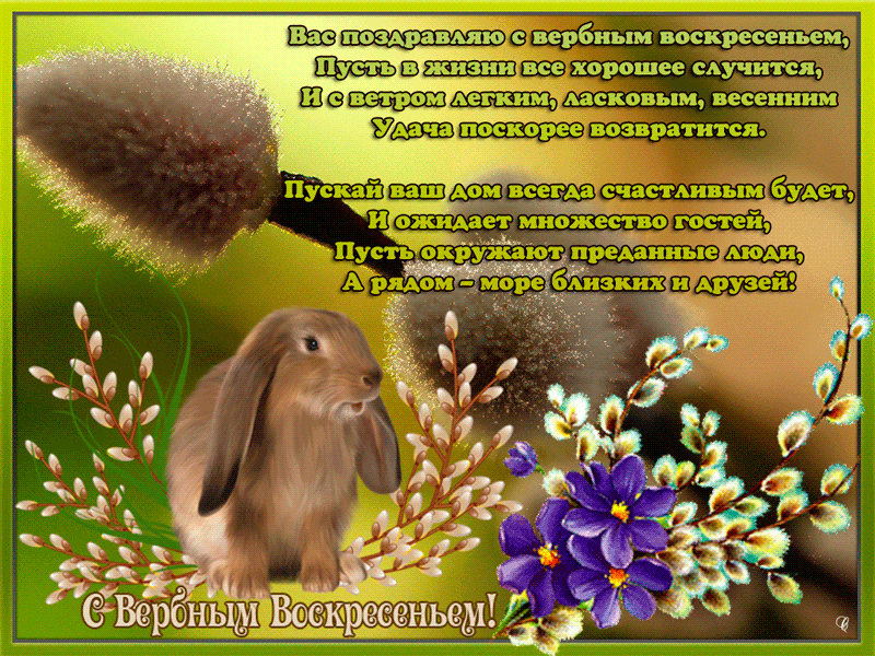 Открытка С вербным воскресеньем - С Пасхой! Зайчик и весенние цветы: открытка с праздником | Красивая открытка #173