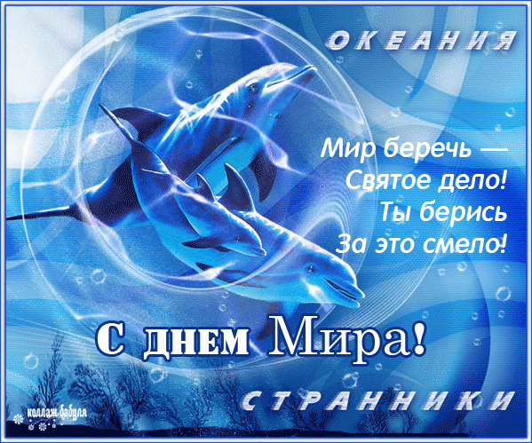 Открытка Открытки с днем мира - Открытка с дельфинами: поздравление с днем! | Красивая открытка #30