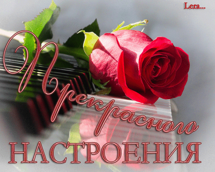 Открытка Открытки хорошего настроения - Открытка с красной розой и надписью "Настроение" | Красивая открытка #230
