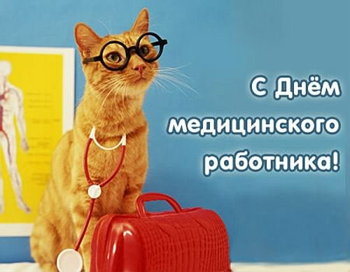 Открытка День медицинского работника - Открытка: Рыжий кот в халате с фонендоскопом | Красивая открытка #18
