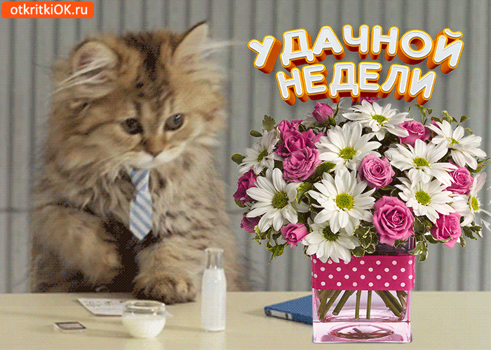 Открытка Хорошей недели - Котенок в галстуке и цветы: открытка с днем недели | Красивая открытка #78