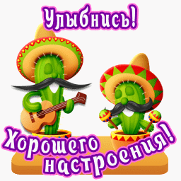 Открытка Улыбнись - Открытка с кактусами в сомбреро | Красивая открытка #291