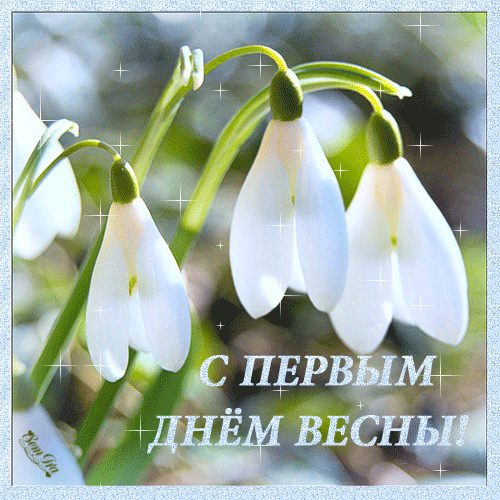 Открытка Открытки с первым днем весны - Подснежники: Открытка с первым днём весны | Красивая открытка #34