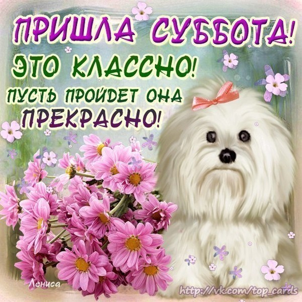 Открытка открытки с пожеланиями хорошей субботы  - Открытка с щенком и цветами  Приветы и поздравления | Красивая открытка #6