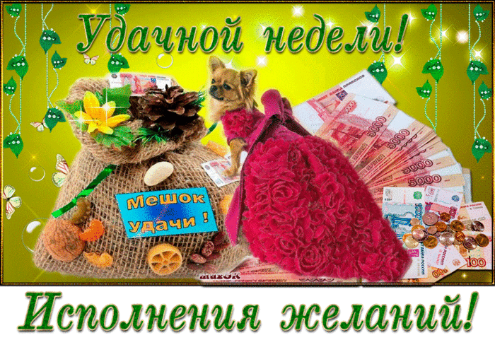 Открытка Открытки удачной недели - Открытка с собакой, деньгами и цветами | Красивая открытка #9