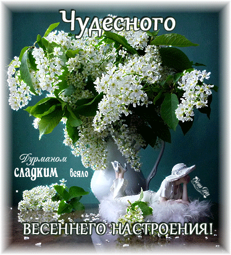 Открытка Открытки весенняя пора - Цветущая сирень: нежная открытка для весны | Красивая открытка #60
