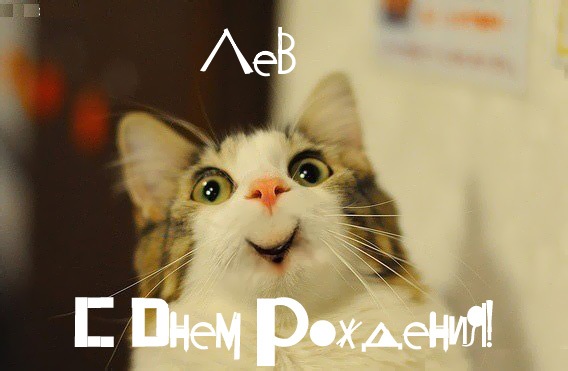 Открытка Открытки с именем Лев  - Открытка с котиком: С Днем Рождения! | Красивая открытка #11