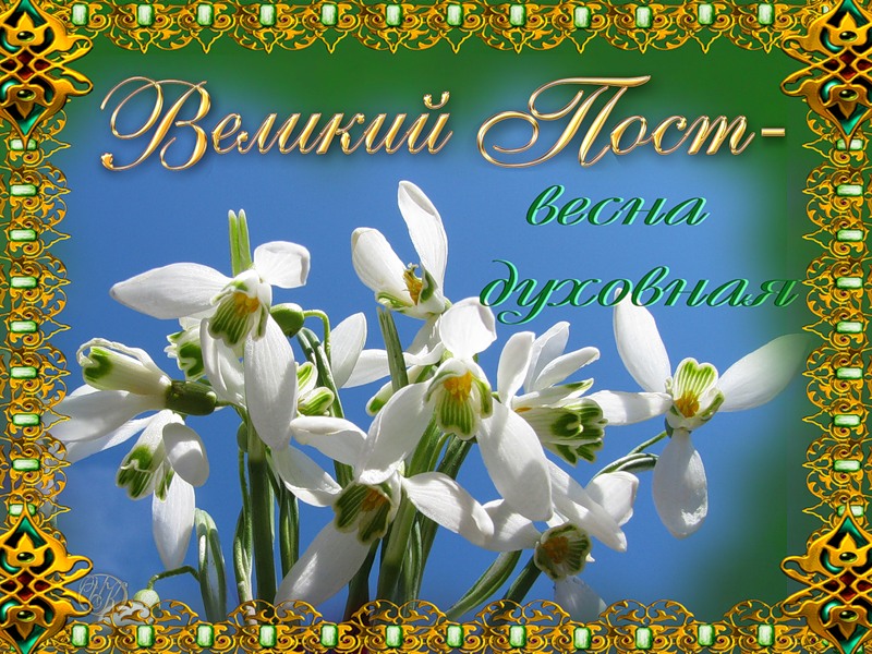 Открытка Великий пост - Подснежники на фоне голубого неба - открытка к весне | Красивая открытка #39