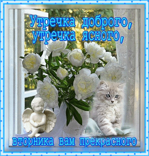 Открытка Доброе утро вторник - Белые пионы и котенок у окна  Праздничная открытка | Красивая открытка #17