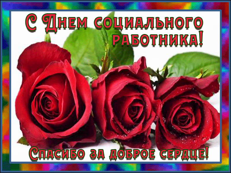 Открытка Открытки с днем социального работника - Красивые красные розы на открытке | Красивая открытка #18