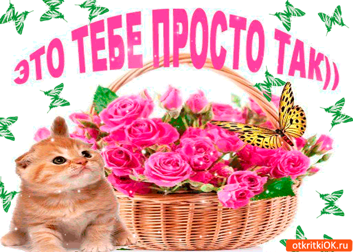 Открытка Для тебя - Котенок и цветы: открытка с бантом | Красивая открытка #146