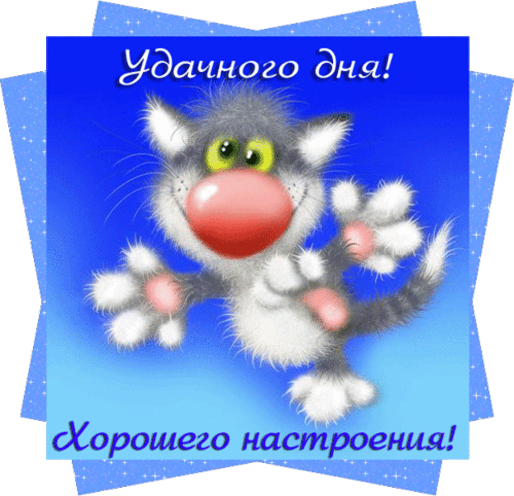 Открытка Удачного дня - Открытка с котенком: С Днем Рождения! | Красивая открытка #5