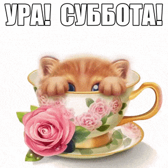 Открытка Выходные - Котенок в чашке с розой: открытка с сюрпризом | Красивая открытка #45