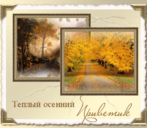Открытка Осенний приветик - Осенний пейзаж: золотая листва и тропа | Красивая открытка #79