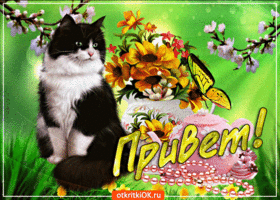 Открытка С приветствием - Открытка с котенком и цветами  Привет | Красивая открытка #9