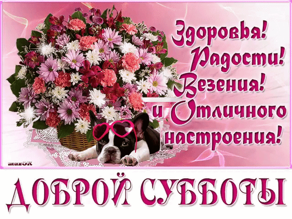 Открытка Выходные - Открытка с щенком и цветами | Красивая открытка #55