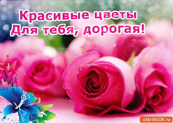Открытка Для тебя - Розовые розы и голубые цветы: открытка с цветами | Красивая открытка #252