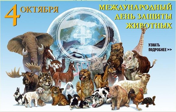 Открытка Открытки с днем защиты животных - Открытка "Международный день защиты животных" | Красивая открытка #9
