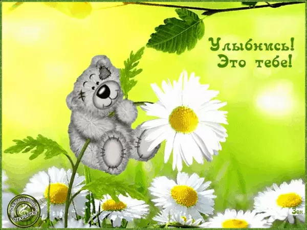 Открытка Открытки улыбнись - Открытка с мишкой и цветами | Красивая открытка #158