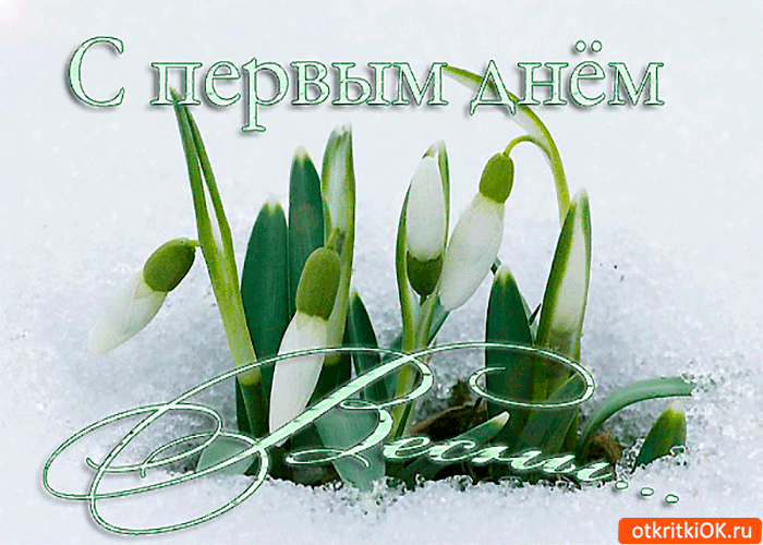 Открытка Первый день весны - Открытка: Подснежники на снегу | Красивая открытка #50