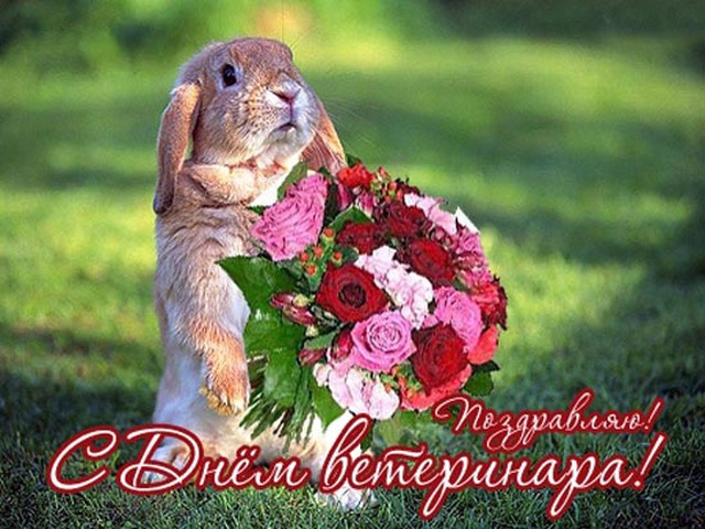 Открытка Открытки с днем ветеринара - Открытка с кроликом и цветами: С Днем ветеринара! | Красивая открытка #33