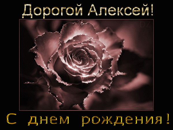 Открытка открытки с именем Алексей - Открытка с розой: С днем рождения! | Красивая открытка #70