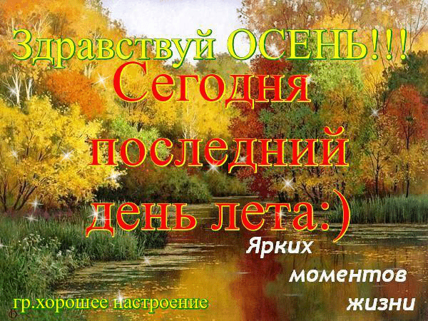 Открытка Открытки осенняя пора - Осенние листья: открытка с яркими красками | Красивая открытка #103