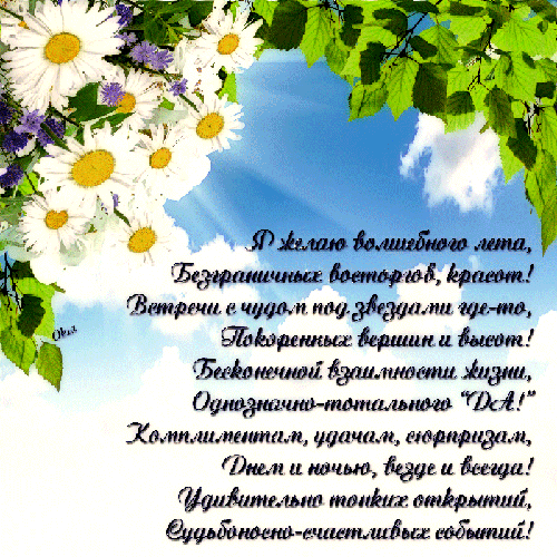 Открытка Стихи о лете - Полевые цветы: открытка с ромашками | Красивая открытка #18