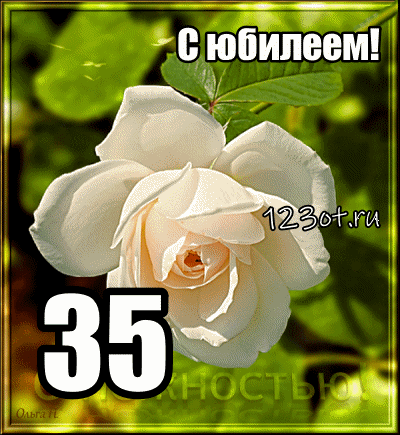 Открытка Открытки на 35 лет - Открытка с белой розой и надписью "35 лет" | Красивая открытка #31