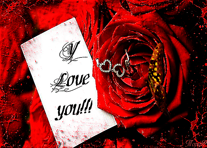 Открытка I love you - Открытка с розами и надписью "Love you" | Красивая открытка #23