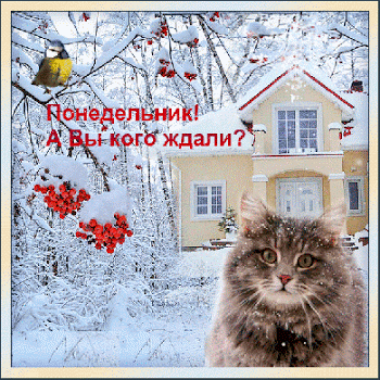 Открытка Открытки на понедельник - Зимняя открытка: дом в снегу, кот и рябина | Красивая открытка #124