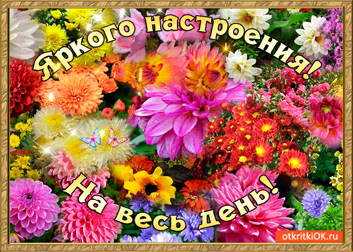 Открытка Открытки хорошего настроения - Открытка с цветами и бабочками  Поздравления с праздником | Красивая открытка #141