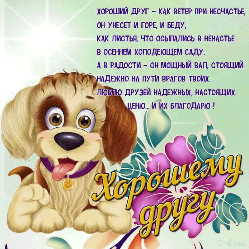 Открытка О дружбе - Открытка с щенком: поздравления с днем дружбы | Красивая открытка #52