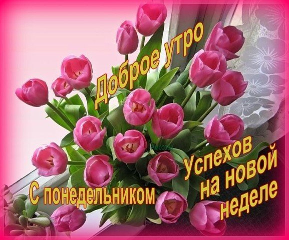 Открытка Дни недели - Открытка с розовыми тюльпанами и надписью | Красивая открытка #51