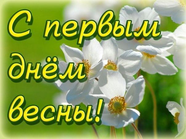 Открытка  С первым днем весны - Открытка с белыми цветами на зеленом фоне | Красивая открытка #104