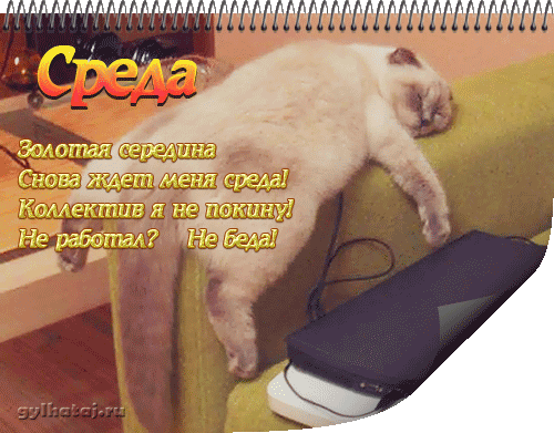 Открытка Открытки на среду - Открытка с котиком и текстом "Среда" | Красивая открытка #19