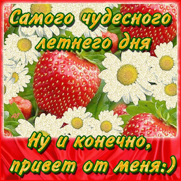 Открытка Открытки хорошего лета - Открытка с клубникой и ромашками | Красивая открытка #9