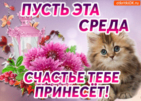 Открытка Со средой - Открытка с котенком и цветами  Поздравления с днем рождения | Красивая открытка #32