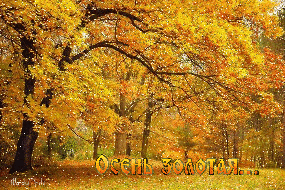 Открытка Открытки Золотая Осень  - Золотая осень: открытка с осенним пейзажем | Красивая открытка #104