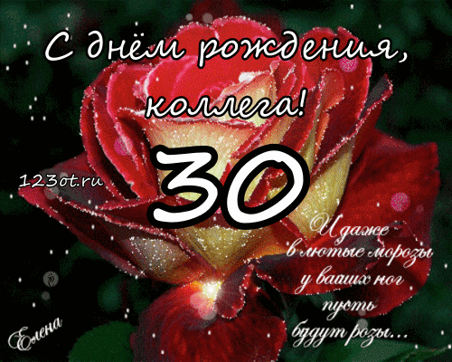 Открытка Открытки на 30 лет - Открытка с днем рождения: красная роза и цифра 30 | Красивая открытка #52