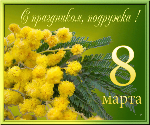 Открытка 8 марта - Цветы мимозы: открытка с весенним настроением | Красивая открытка #55
