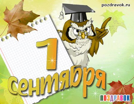 Открытка С днем знаний - С Днём знаний! Открытка с совой и 1 сентября | Красивая открытка #33