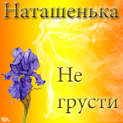 Открытка Открытки не грусти - Ирис на открытке: поздравления с праздником | Красивая открытка #11