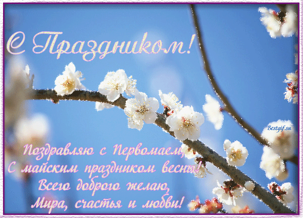 Открытка открытки на 1 мая - Открытка с цветами: Весеннее поздравление с лучшими пожеланиями | Красивая открытка #101